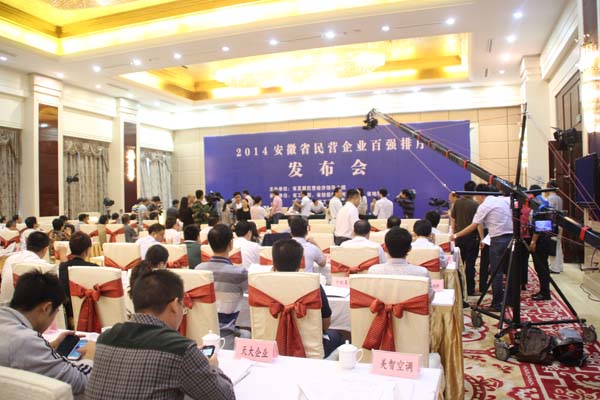 2013年度安徽省民营企业百强排序揭晓 印刷包装界三企榜上有名